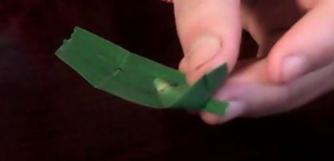 芦叶船怎么做 用图教