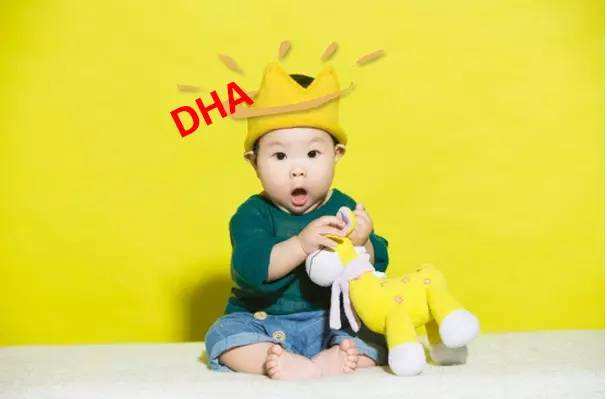 汤臣倍健鱼油牛磺酸软胶囊含DHA吗 DHA有什么功效