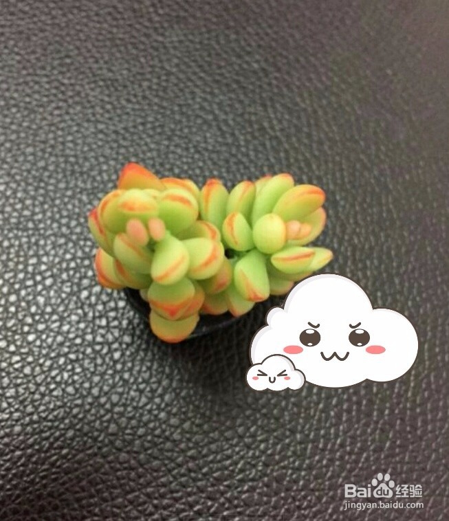 多肉黏土教程