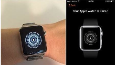 apple watch上的i标志在哪