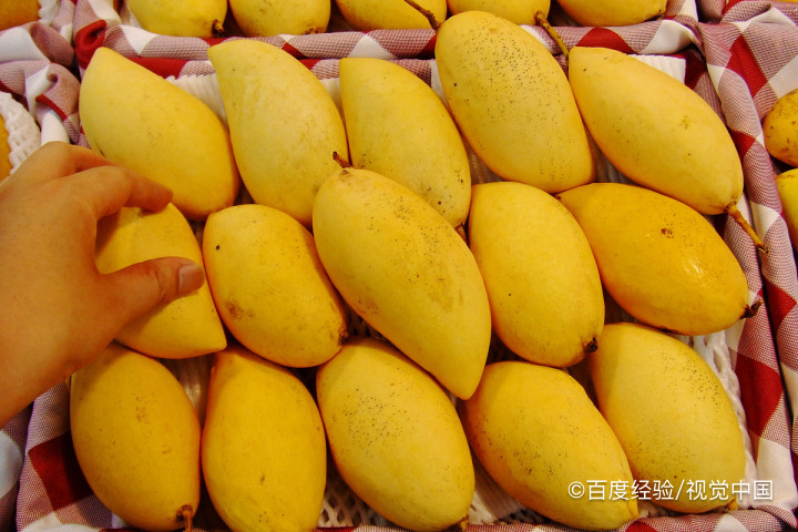 买回的青芒果应该怎么进行催熟