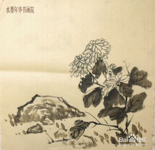 国画菊花的画法