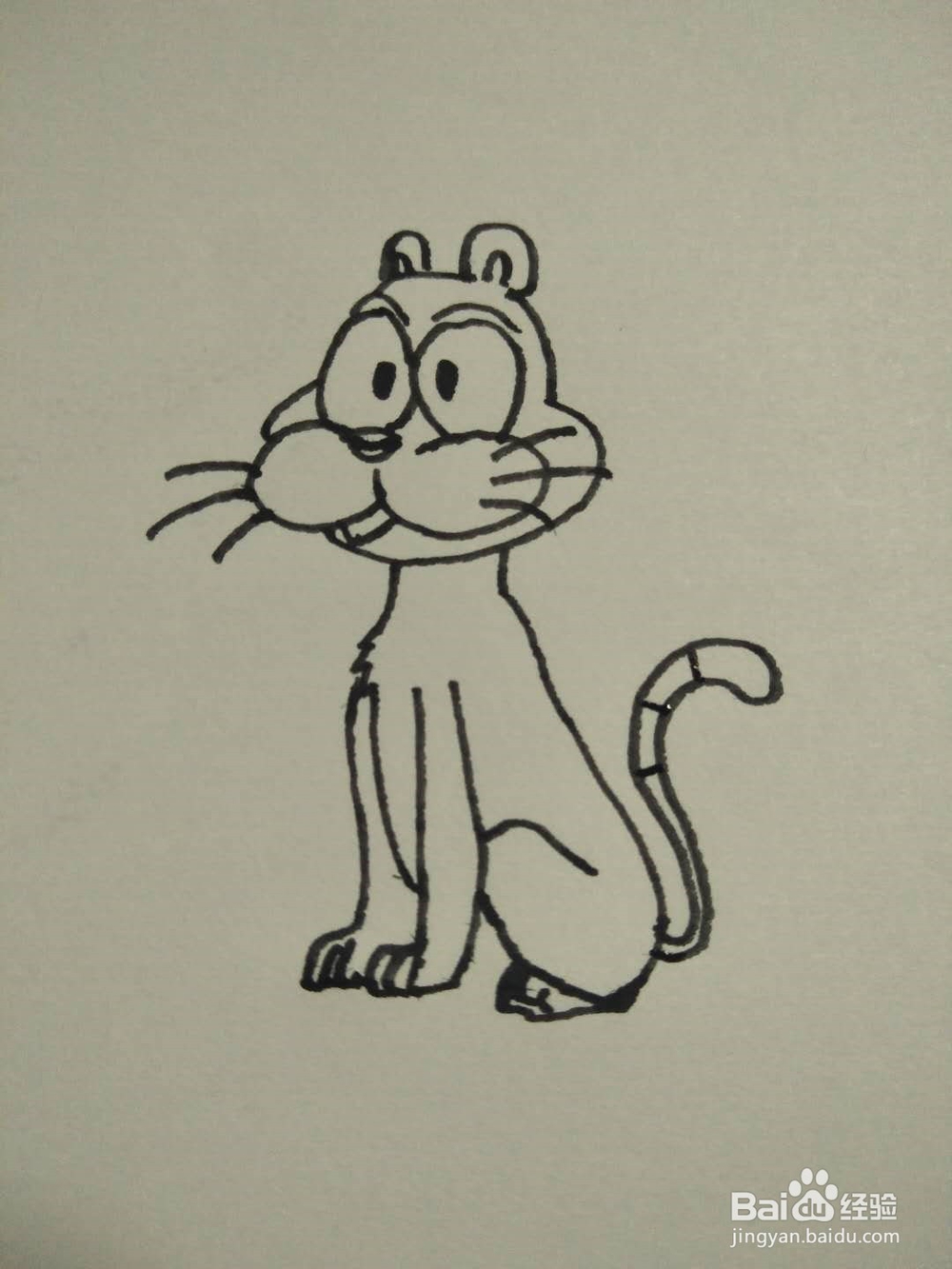 猫的简笔画法2