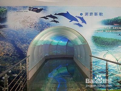 南京到长沙旅游攻略