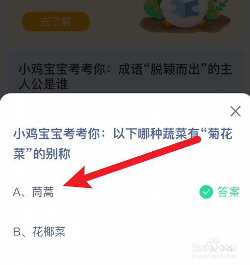 哪种蔬菜有菊花菜的别称？蚂蚁庄园