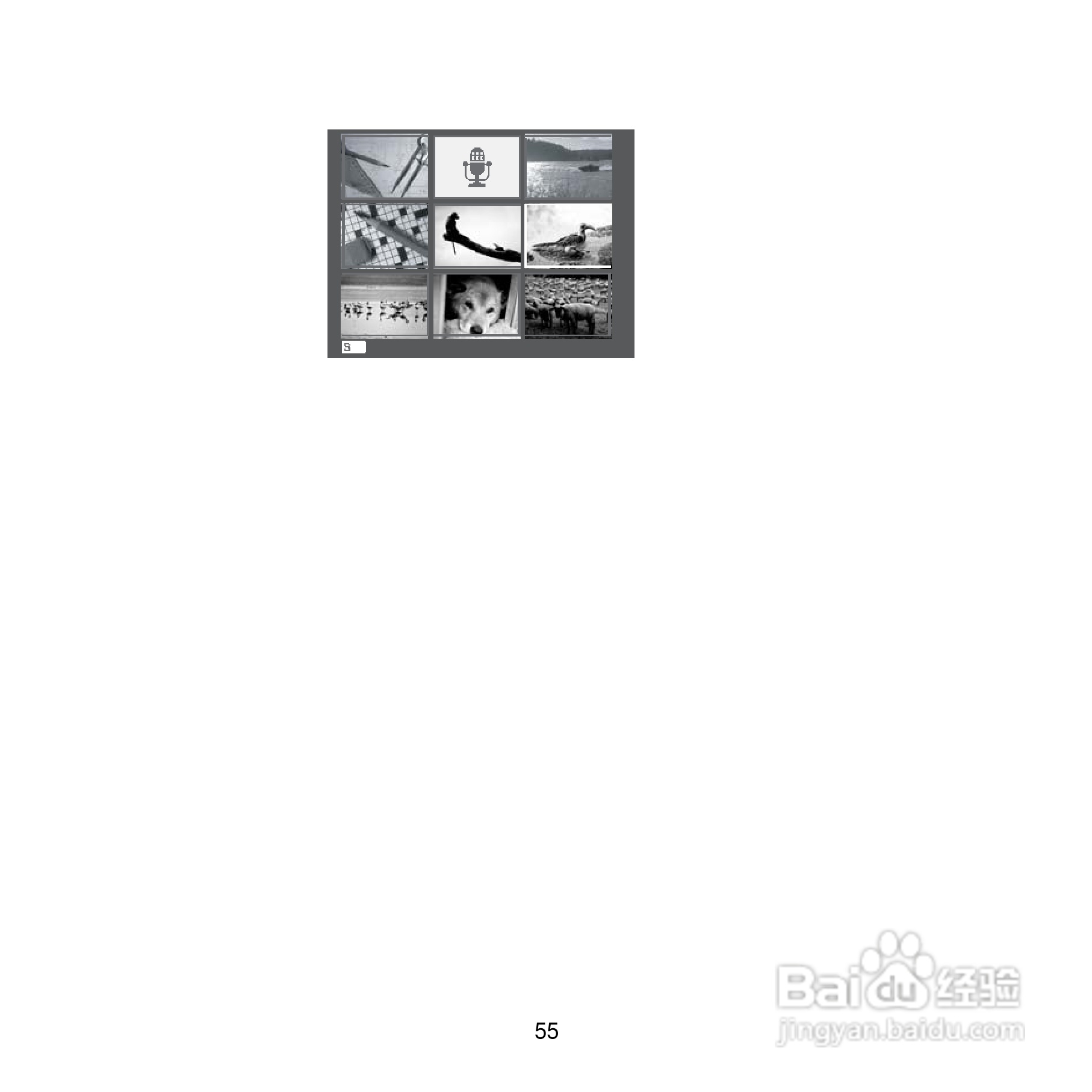 爱克发Compact 100数码相机使用说明书:[7]