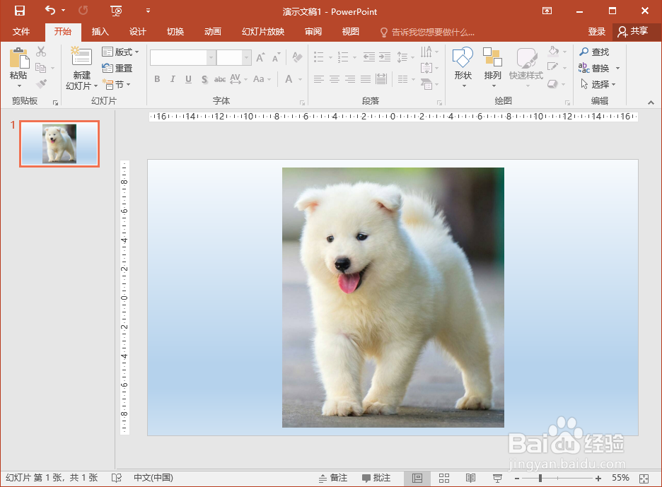 PowerPoint2016缩放图片时怎么让图片不变形
