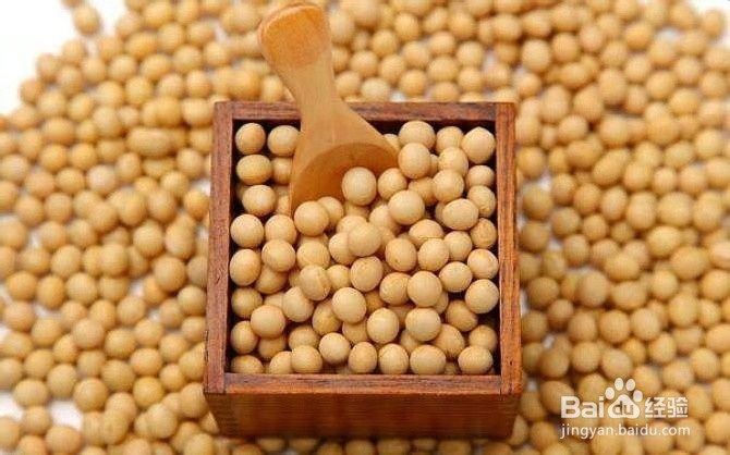 吃哪些食物可以减妊娠斑