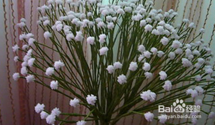 丝网花满天星制作方法