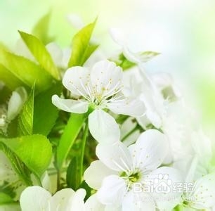 想要健康,须纯洁你的思想