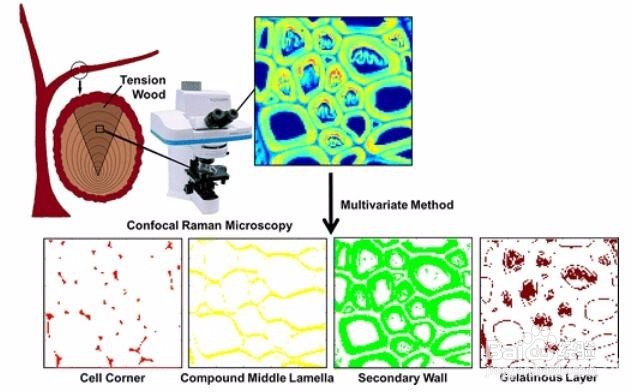 破壁中药技术是什么？