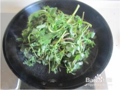 新鲜马齿苋怎么吃不酸