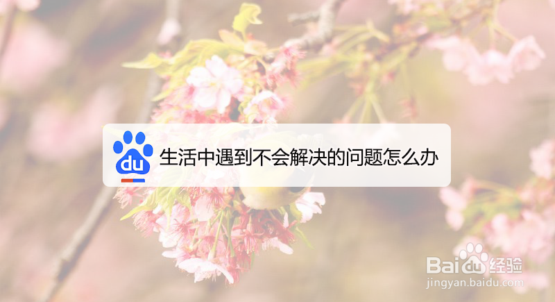 生活中遇到不会解决的问题怎么办