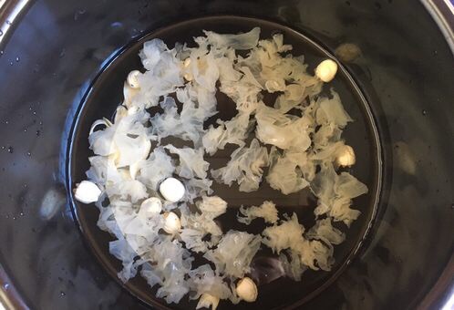 火龙果莲子百合银耳粥