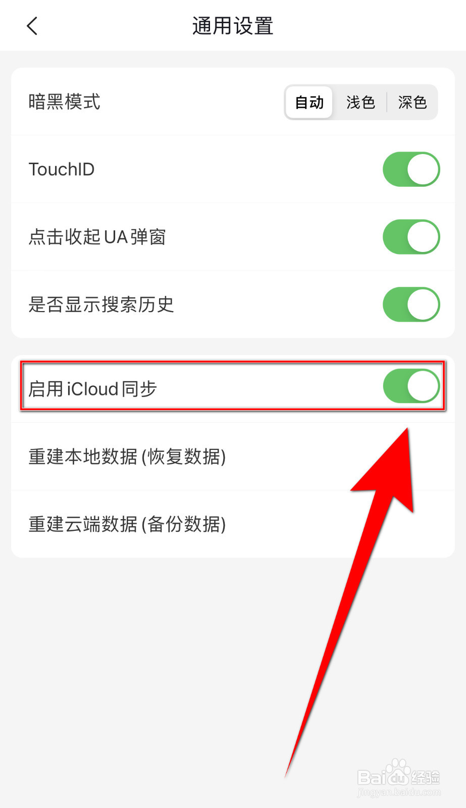 如何设置Focus浏览器启用iCloud同步开启