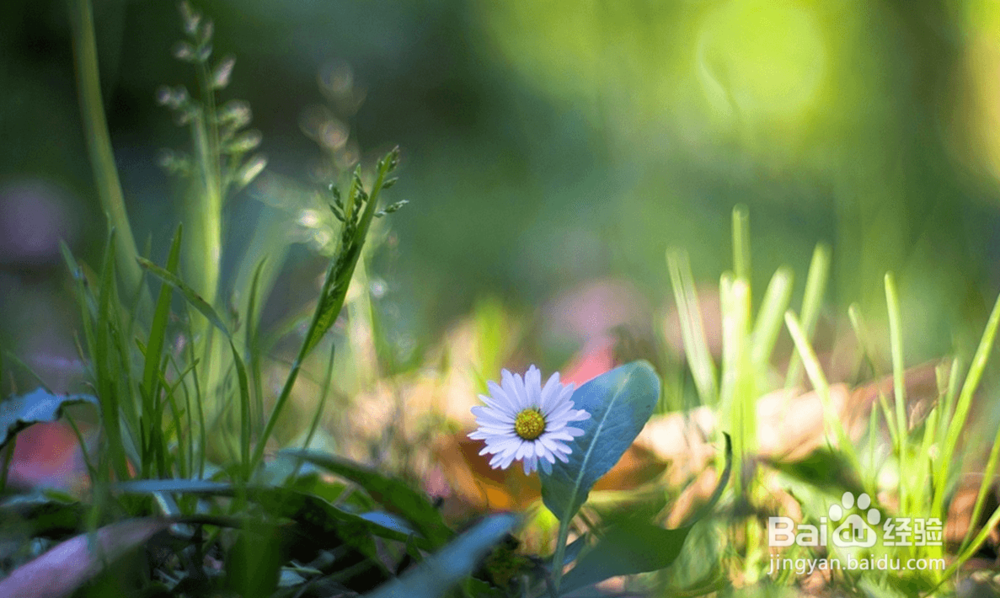 如何彻底化解自卑，拥有精彩的人生？