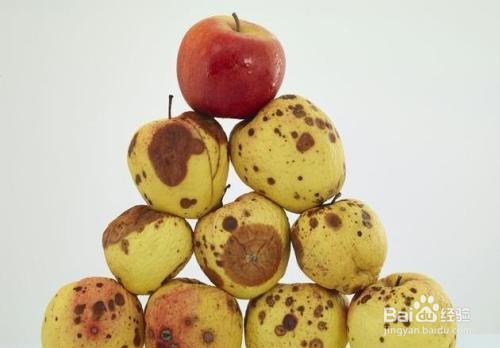 如何认知正确的生活细节