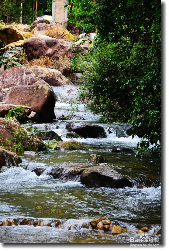天然避暑胜地白水寨游记攻略