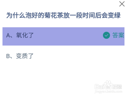 蚂蚁庄园2024年6月29日：泡好的菊花茶会变绿