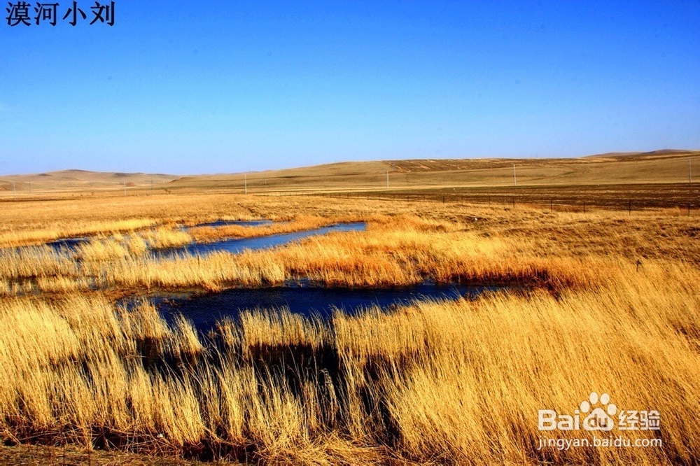 呼伦贝尔金秋草原
