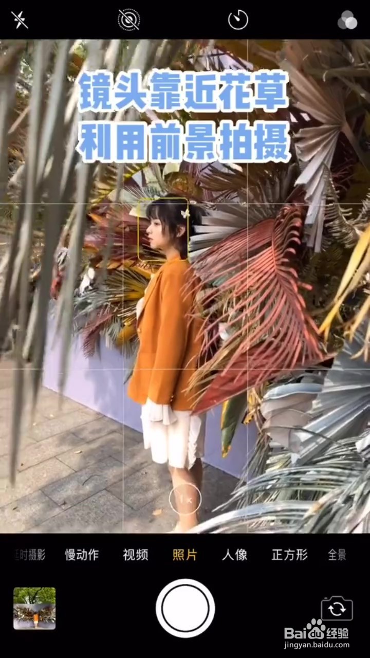 如何用手机在小仙女打卡地拍照