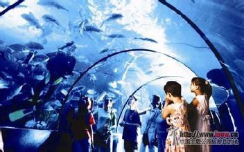 武汉东湖海洋世界