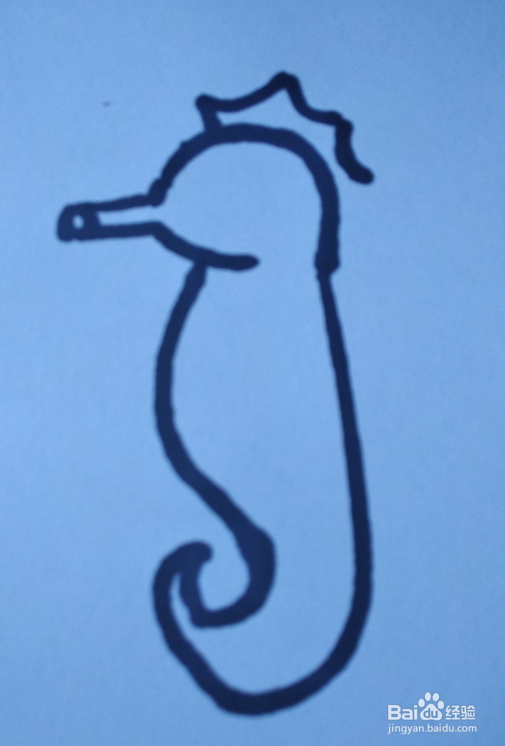 动物简笔画之海马简笔画怎么画