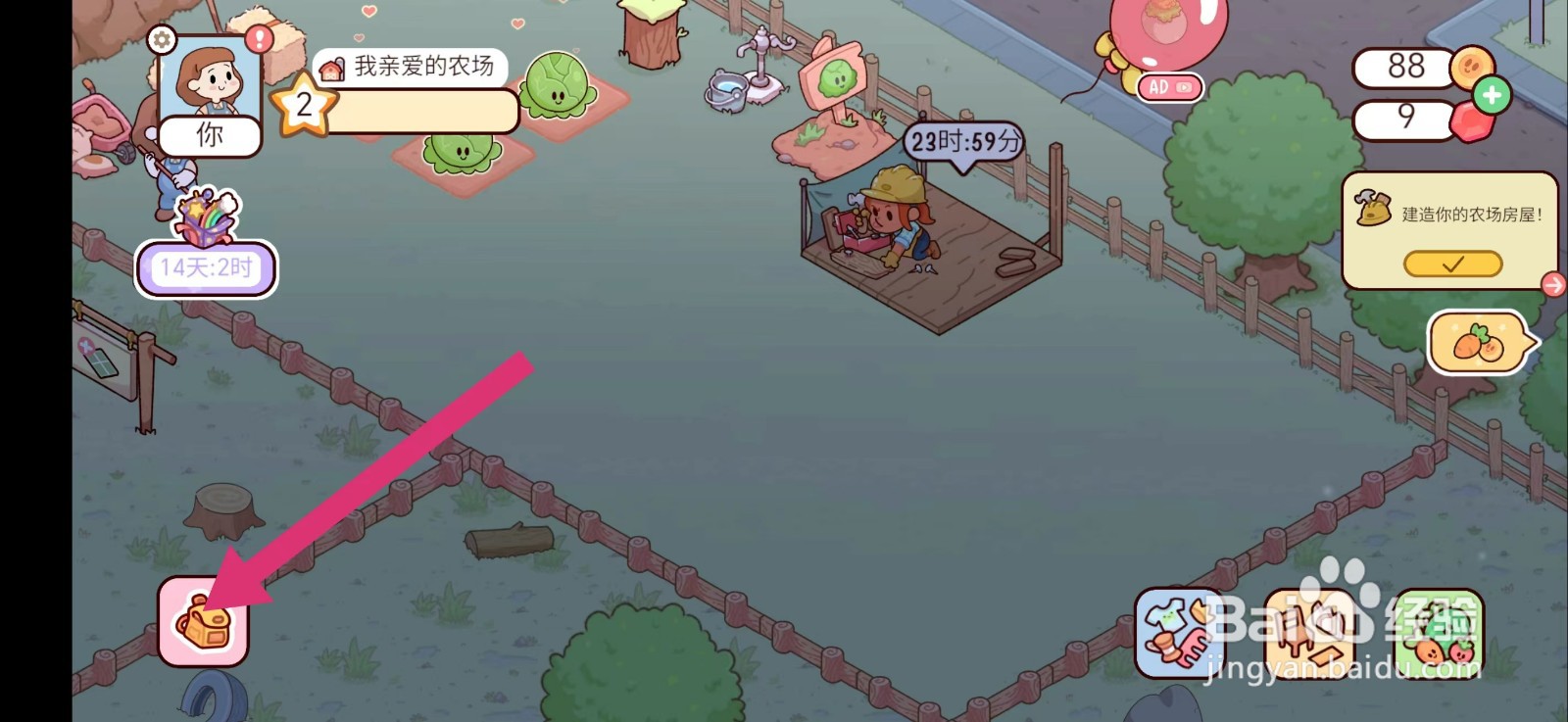 我亲爱的农场如何摆放红木槿花