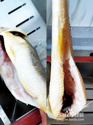 大黄花鱼去内脏图解