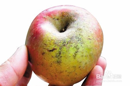 生活中怎么挑选苹果