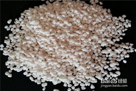食蝇草怎么养护
