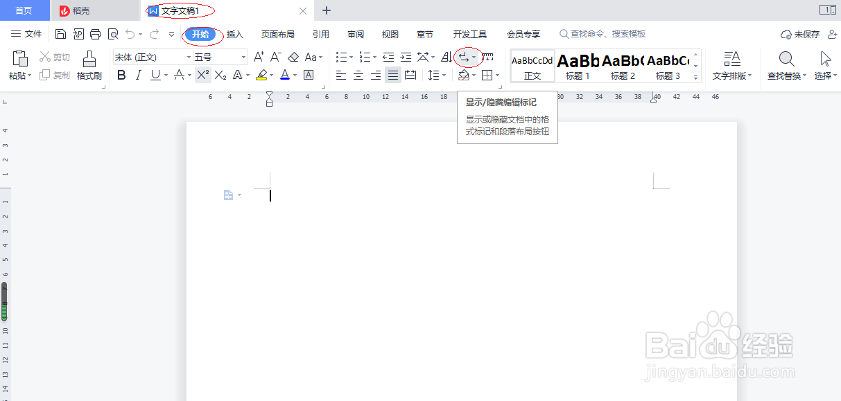 WPS文字处理 2022如何设置显示段落标记