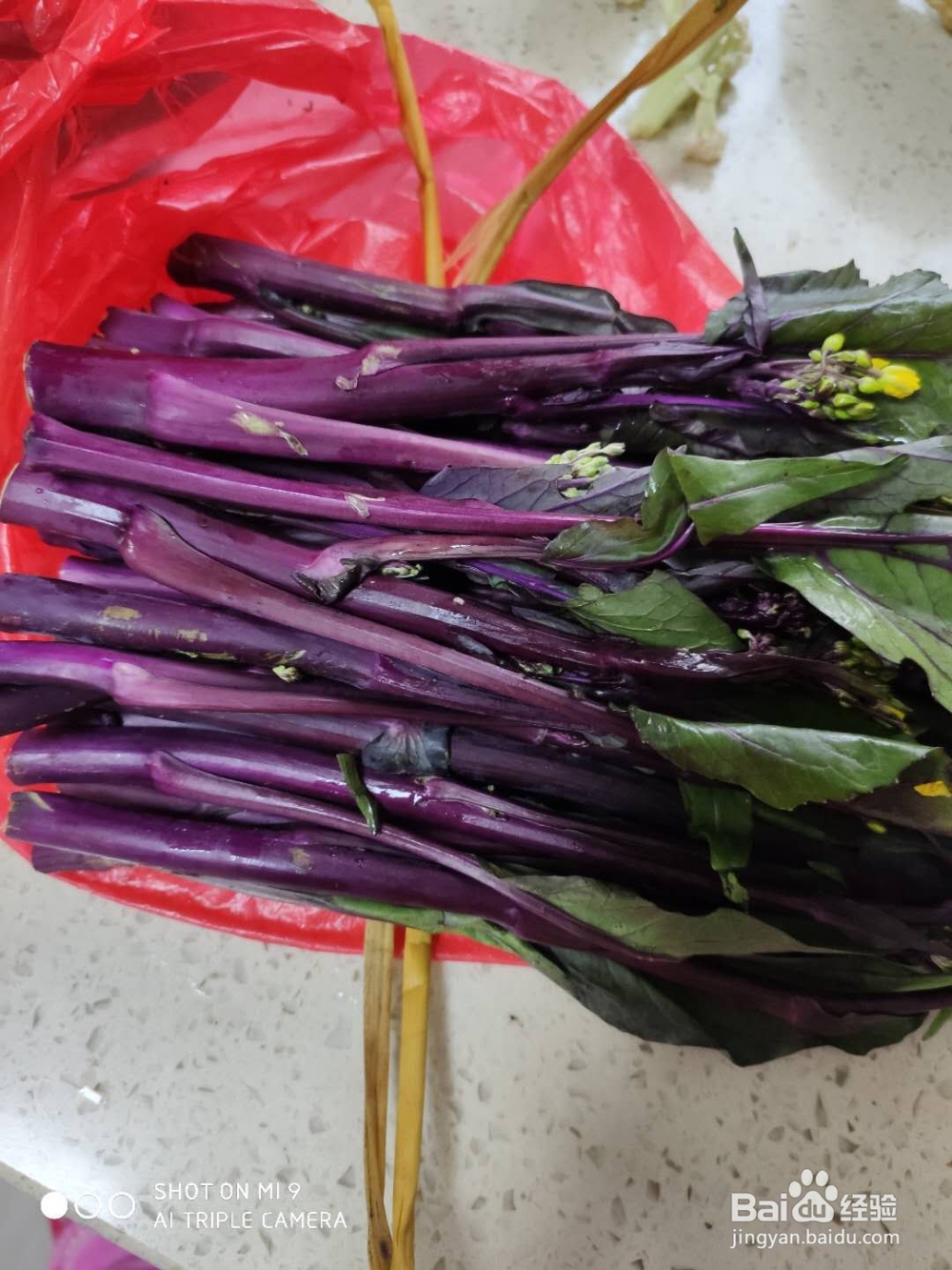 炒红菜苔的做法