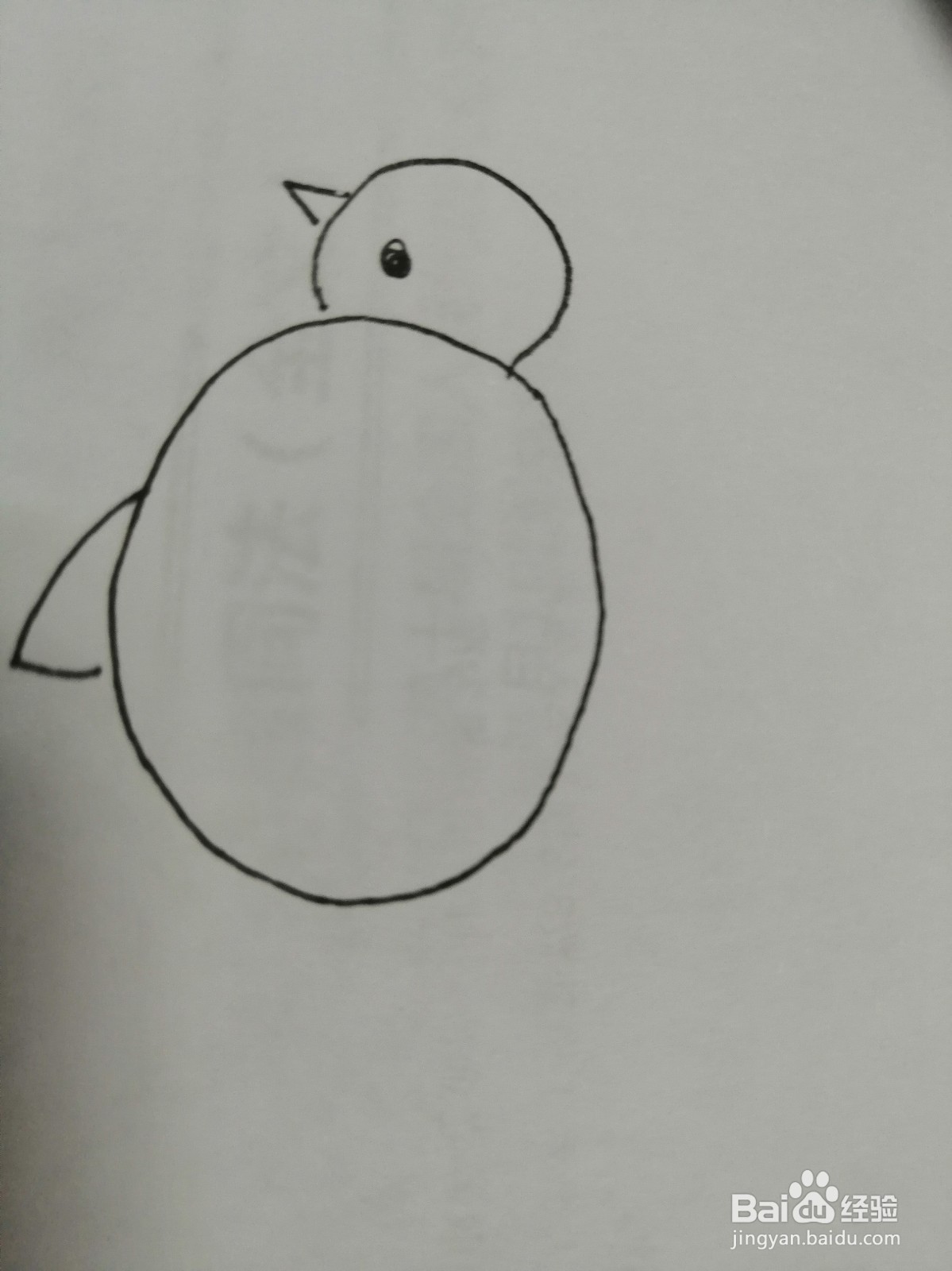 简笔画可爱的小鸡怎么画
