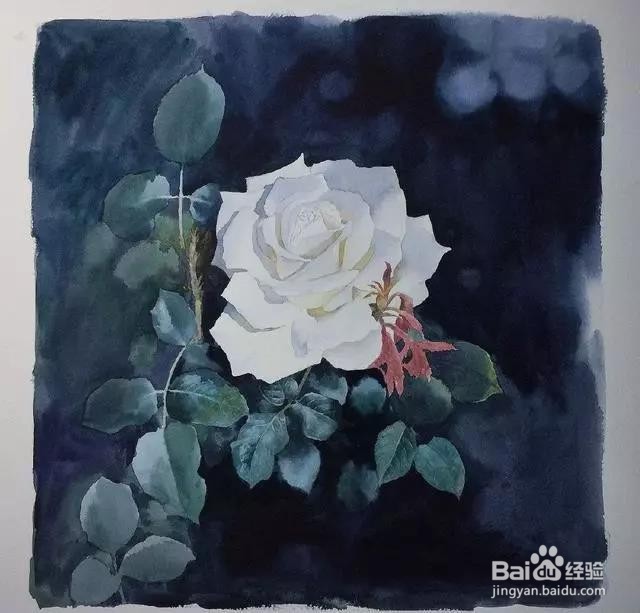 水彩玫瑰花的画法