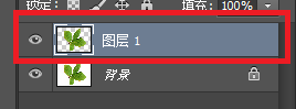 Photoshop——魔棒工具抠图