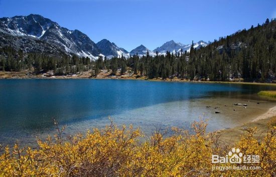 美国加州旅游攻略