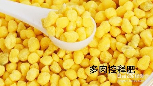 如何养殖多肉小盆栽