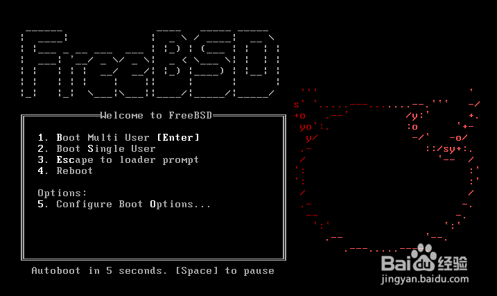 如何安装FreeBSD