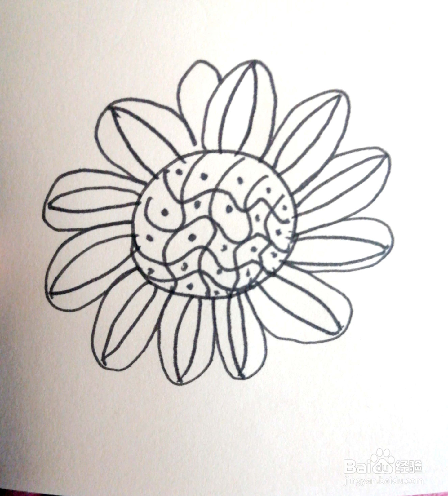 向日葵线描装饰画怎么画