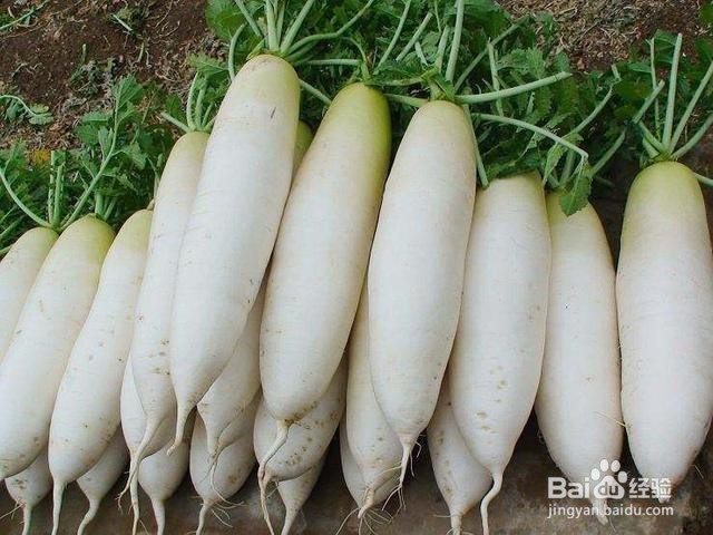 胃不好的人日常饮食怎么吃