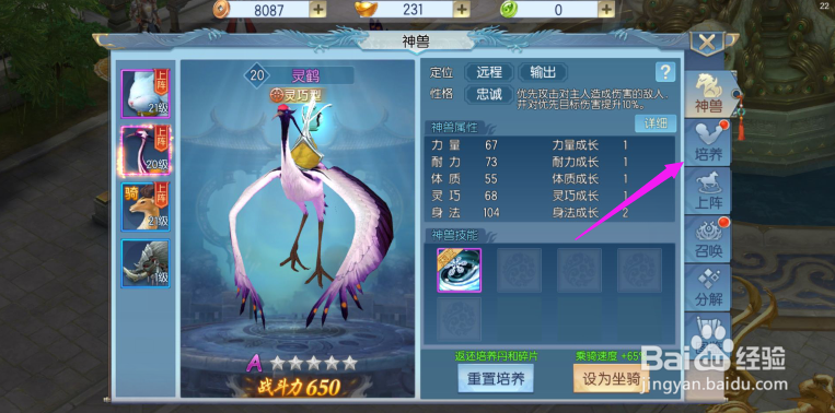 那一剑江湖如何给神兽提升等级