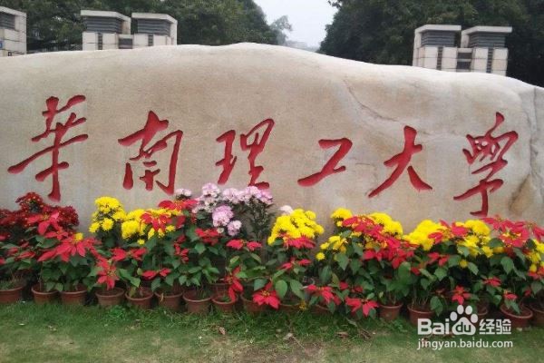 2020年国内理工大学排行榜