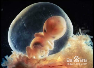 孕妈妈营养课：[3]孕妇如何补钙？