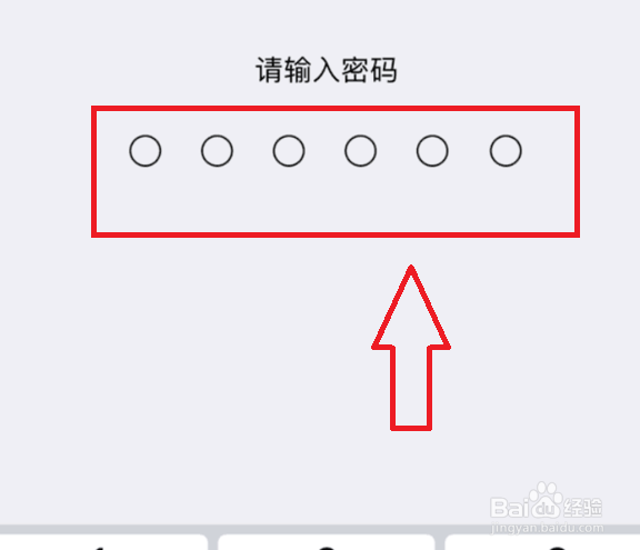 苹果13wifi不能用