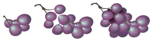 用coreldraw打造逼真静物写生_2