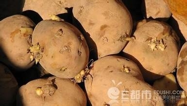 怀孕30-60天的有哪些常规的心理变化？