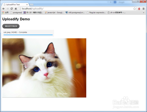 uploadify(jquery)插件的使用及图片上传预览