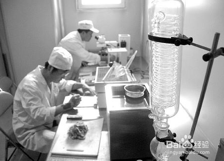 怎么防止非洲猪瘟疫情扩散？