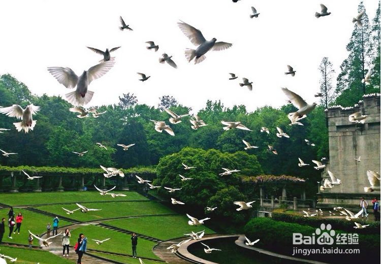 上海清明长假适合去哪玩?